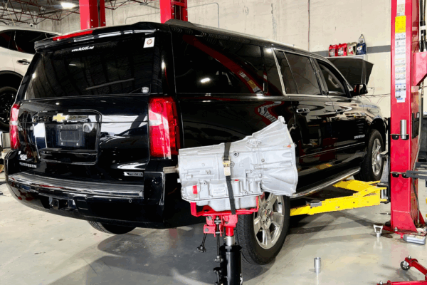 Untitled design.zip - 1