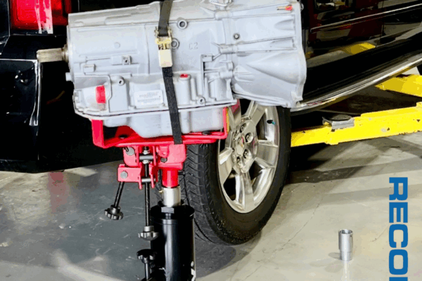 Untitled design.zip - 2